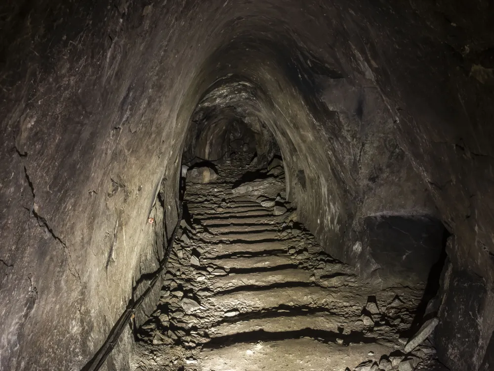 Private Tour - 60 Meter